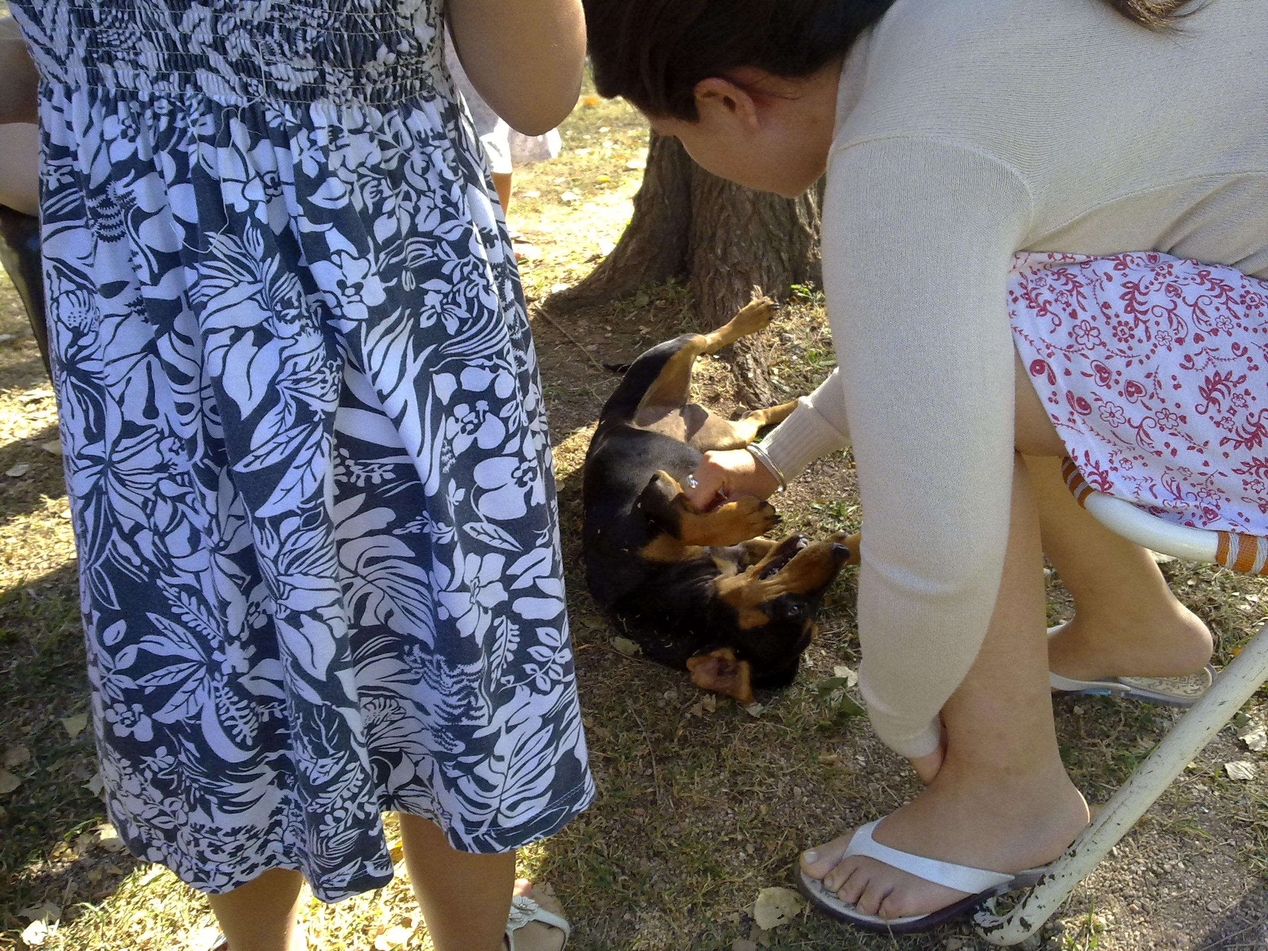 fotos/2011-01-23 - Los reartes/28012010106.jpg
